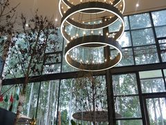 -桉树林A coffee 森林餐厅(三圣乡店)