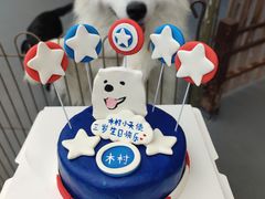 -宠物之家Pets Home 宠物寄养酒店