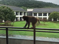-苏州环秀晓筑养生度假村