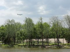 -东郊湿地公园
