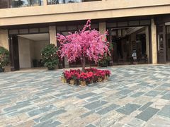 -三亚亚龙湾红树林度假酒店