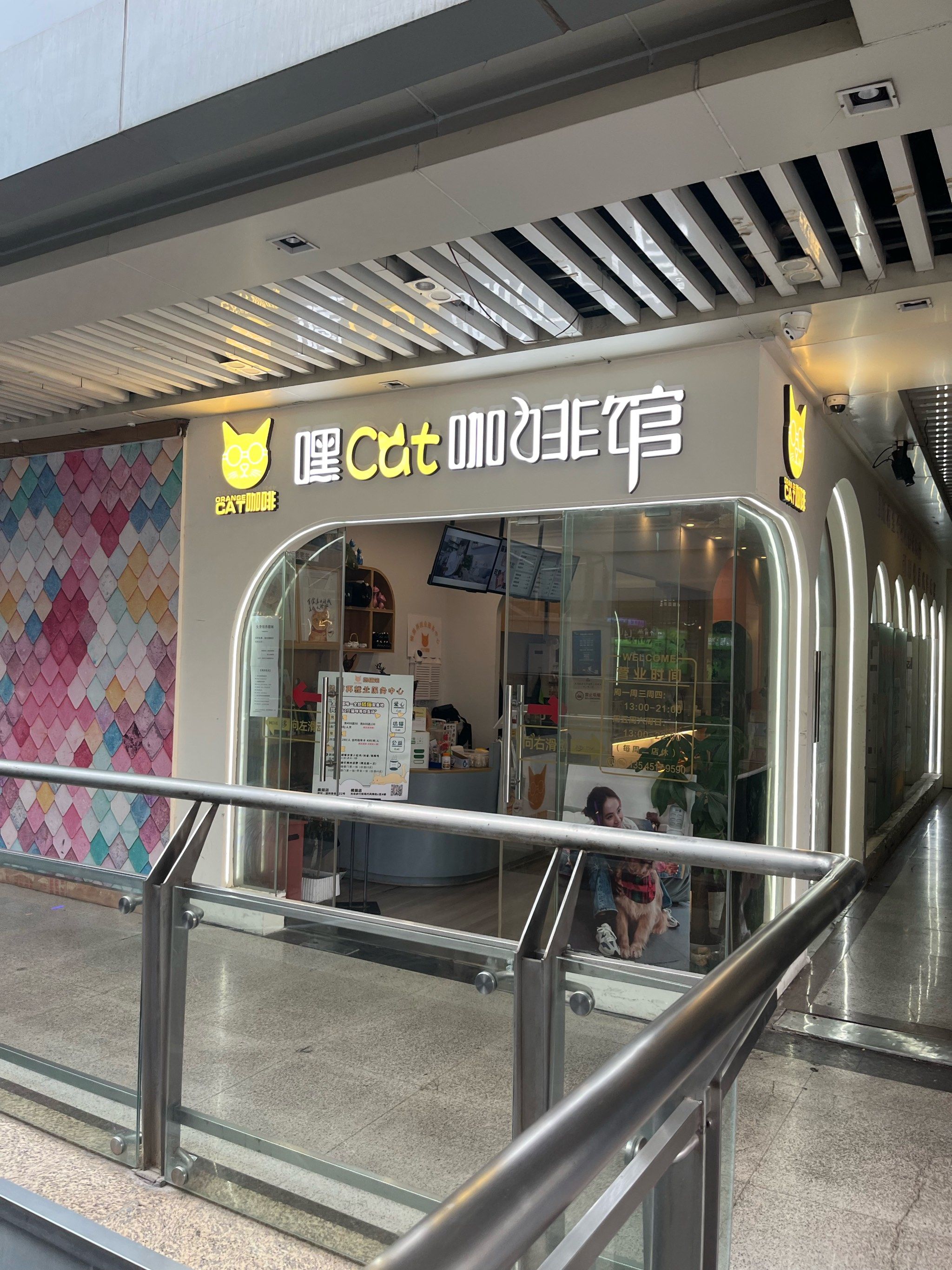 这家猫咖怎么这样