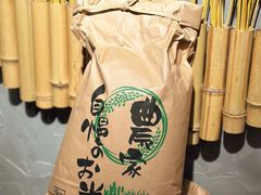 -肉肉大米(金虹桥店)