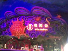 -青岛嘉年华主题乐园