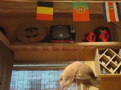 -泥糊破店小酒馆·团建聚餐(南京西路店)