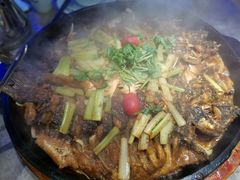 -老板恋上鱼(恒隆广场店)