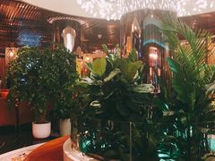 -润园四季椰子鸡火锅(海上世界店)