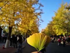 -辽宁大学(崇山校区)