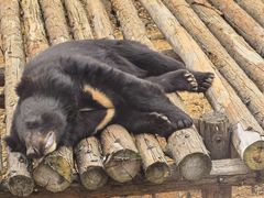 -泉州海丝野生动物世界