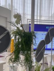 -广州美莱医疗美容医院