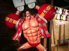 -东京塔海贼王主题公园