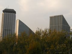 -三里屯东五街银杏大道