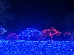 -青龙湖公园