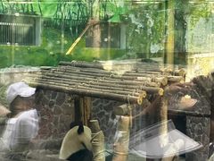 -黔灵山公园