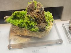 -湖南省地质博物馆