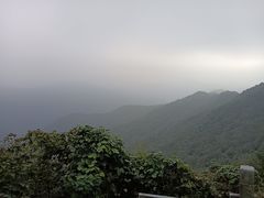 -北仑森林植物园