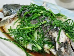 清蒸泉水鲩鱼-成惠食府(赤岗店)