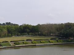 -东莞植物园