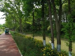 -桤木河湿地公园