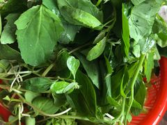 -扎佐老牌蹄膀·猪脚