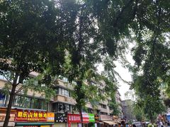 -奎星楼街