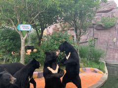 -南京金牛湖风景区