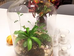 -dotcom coffee古点咖啡(致真大厦店)
