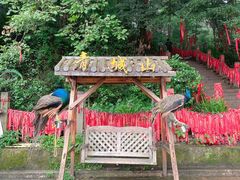 -青城山
