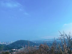 -上海佘山国家森林公园西佘山园