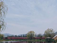 -羊亭河湿地公园