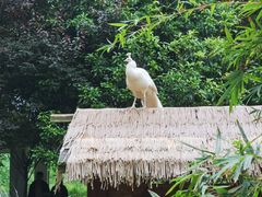 -黔灵山公园
