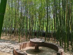 -泰山风景名胜区-普照寺