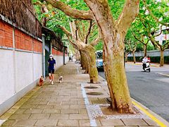 -夏朵花园(复兴西路店)