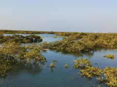 -北海金海湾红树林生态旅游区