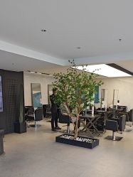 -付军剪艺JF ProSalon