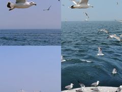 -星海湾跨海大桥