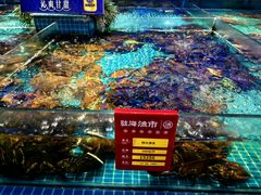 -驻海渔市(置信店)