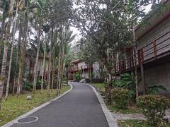 -七仙岭君澜度假酒店