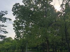 -天花井景区