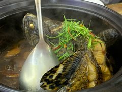 招牌香锅龙胆斑-鑫鸿达·海鲜闽菜热炒小馆(中山路店)