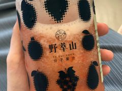 -野萃山·潮汕厚果汁(十亩地店)