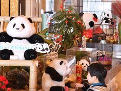 -成都保利公园皇冠假日酒店(熊猫基地店)