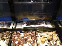 水产区-添福来墨鱼饺子 · 海鲜东北菜(泡崖店)