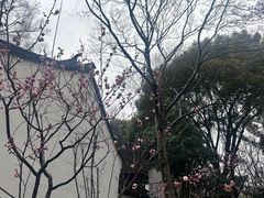 -上海方塔园