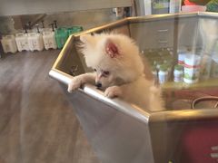 -PETKIT小佩宠物(古北店)