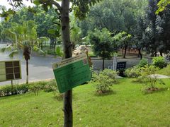 -广东中医药博物馆