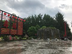 -合肥滨湖国家森林公园