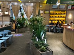 -润园四季椰子鸡火锅(南山海岸城店)