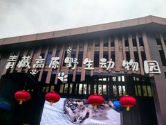 -青藏高原野生动物园