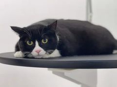 -comecome来吧宠物(奥克斯中心店)